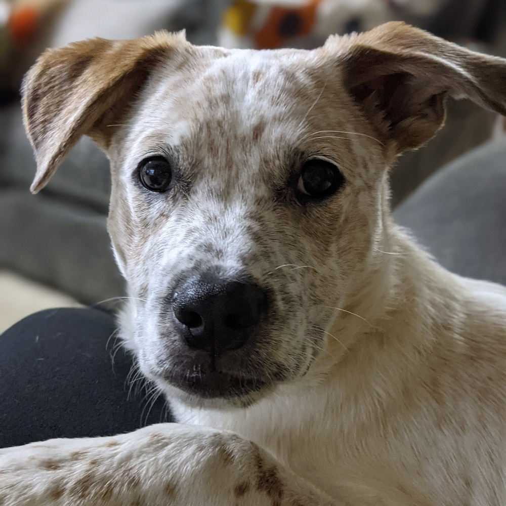 Meet your Posher, Jason